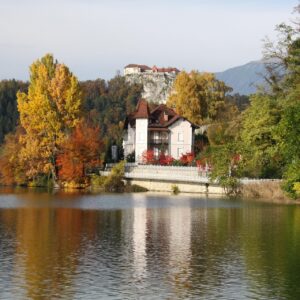 TRES TESOROS EXPRESS TRES TESOROS EXPRESS