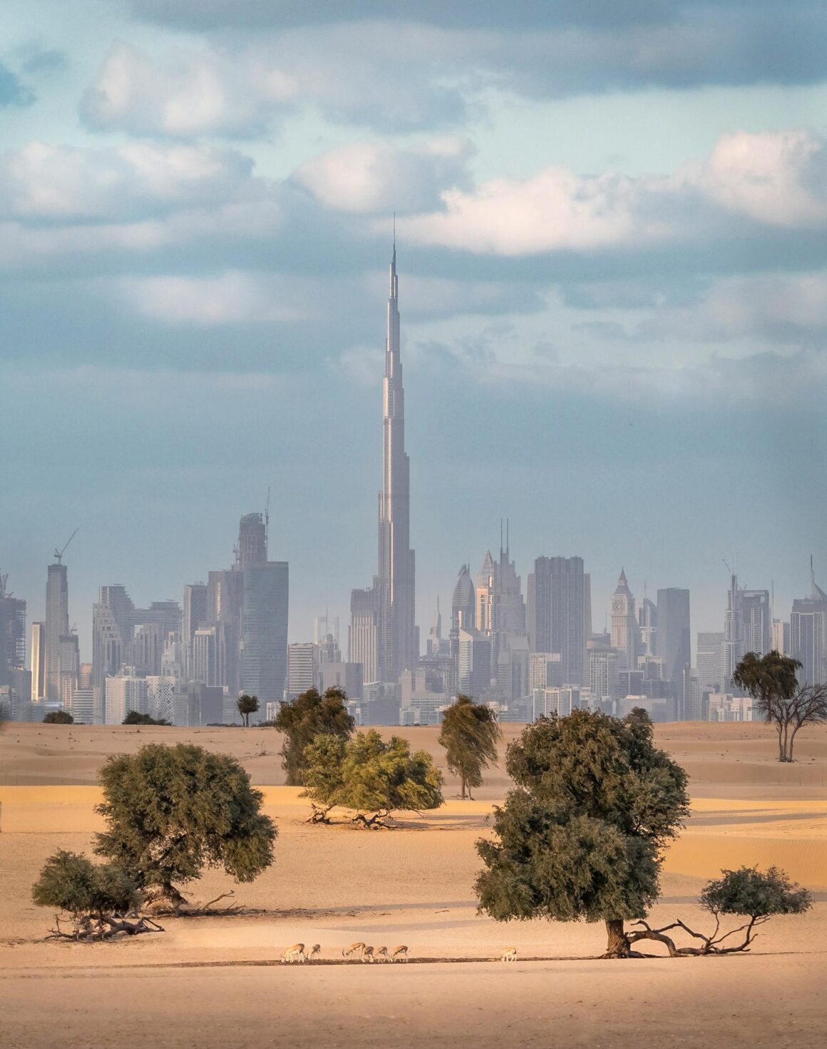 DUBAI Y EL DESIERTO MAGICO