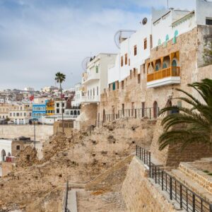 TRAS LOS PASOS DE ANIBAL