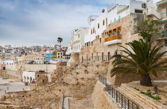 TRAS LOS PASOS DE ANIBAL